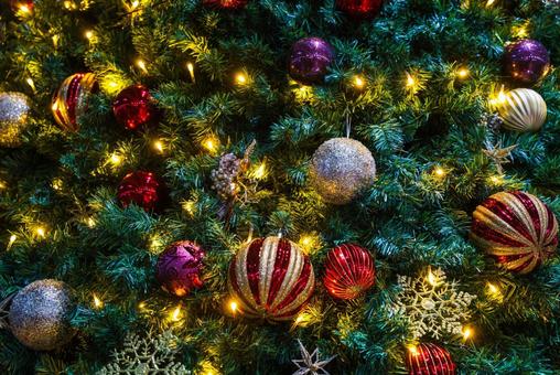 クリスマス クリスマスツリー,クリスマス,ツリーの写真素材