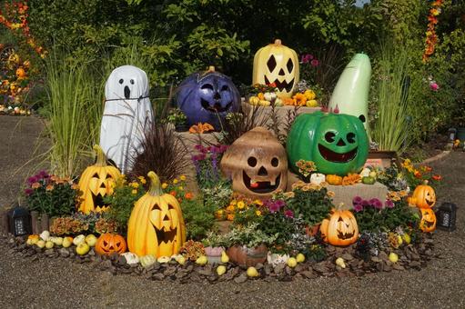 丘陵公園の感謝祭「ハロウィン」 丘陵公園の感謝祭「ハロウィン」 ハロウィン,収穫祭,かぼちゃの写真素材