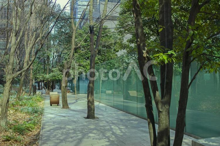 公園　オフィス街 公園,葉,木の写真素材