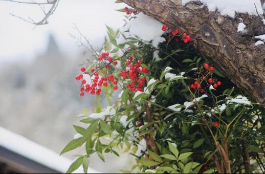 雪景色 雪景色の写真
