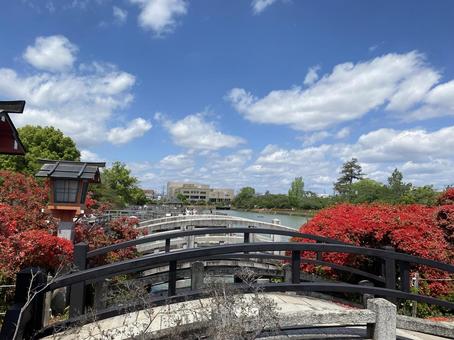 橋 橋の写真