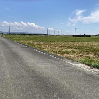 田んぼと道 田んぼと道 平地,道,草の写真素材