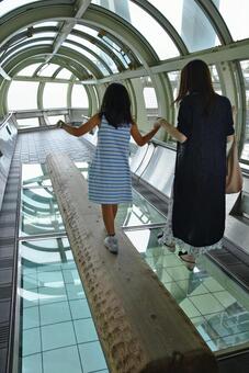 舞子海上プロムナードの丸太橋 舞子海上プロムナードの丸太橋の写真