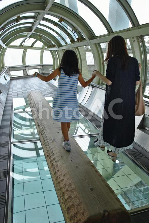 舞子海上プロムナードの丸太橋 ガラス張り,プロムナード,丸太橋の写真素材