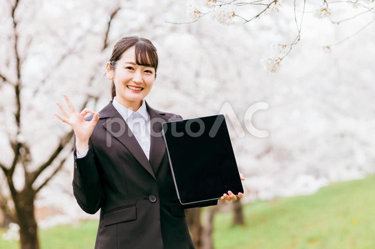 満開の桜の下でokサインする大学生の女性 求人,エントリー,okの写真素材