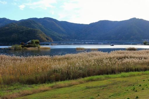 秋の河口湖周辺 河口湖周辺,河口湖,湖の写真素材