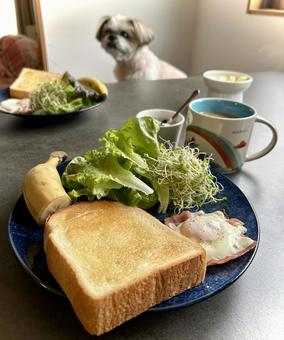 Photo, bread, toast, bacon and eggs, 