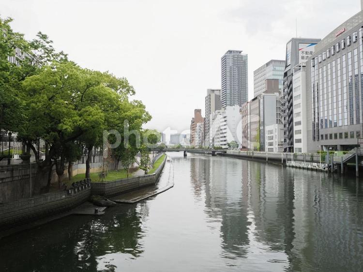 （大阪）淀屋橋から見た土佐堀川 02 淀屋橋,土佐堀川,大阪の写真素材