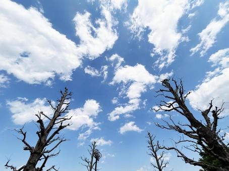 Photo, sky, cloud, blue sky, 