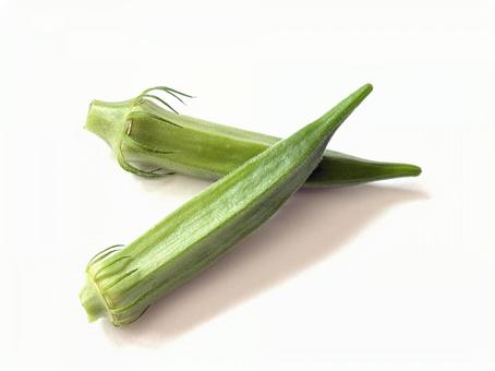 夏野菜 オクラ 夏野菜 オクラの写真