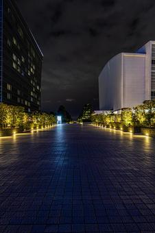 都市夜景 都市夜景 都市夜景,夜景,夜の写真素材