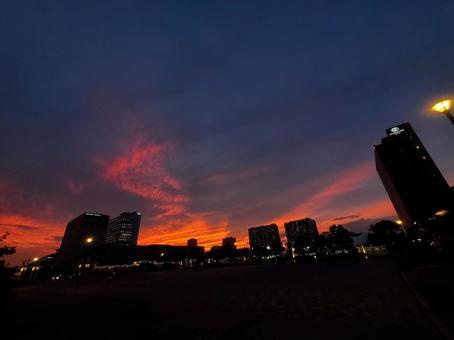 有明、花の広場から見る夕日、秋。 有明、花の広場から見る夕日、秋。の写真