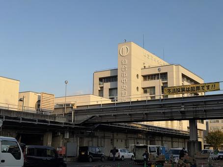 25_1119_仙台市中央卸売市場02 宮城県,仙台市,仙台市中央卸売市場の写真素材