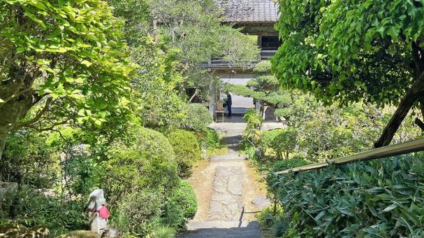 秩父34観音 32番 法性寺 新緑の参道 秩父34観音 32番 法性寺 新緑の参道の写真
