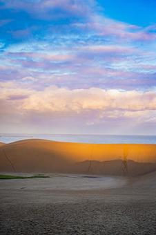 鳥取県　鳥取砂丘の風景 鳥取砂丘,日本の風景,自然の写真素材