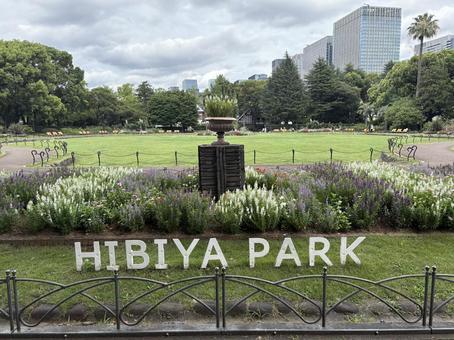 日比谷公園の花壇 東京都,日比谷,日比谷公園の写真素材