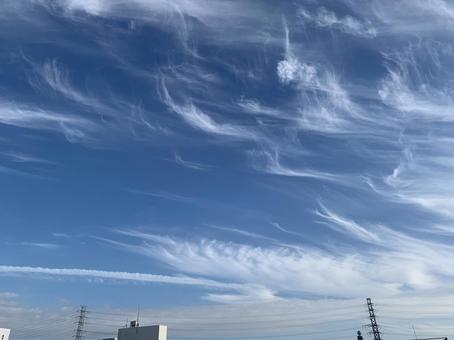 巻雲 巻雲の写真
