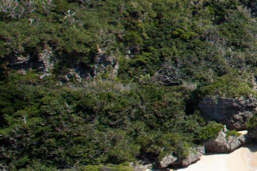 沖縄・背景 沖縄・背景の写真