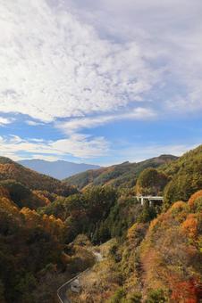 紅葉　長野県　箕輪ダム 箕輪ダム,美しい,草の写真素材