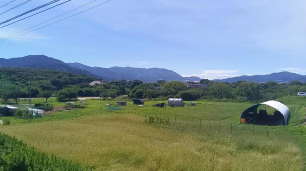 田んぼ　　 田んぼ,農地,地方の写真素材