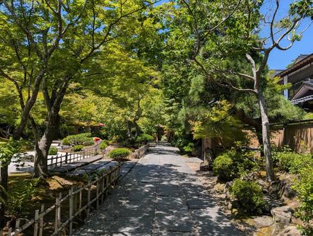円通院 円通院 松島,松島海岸,円通院の写真素材