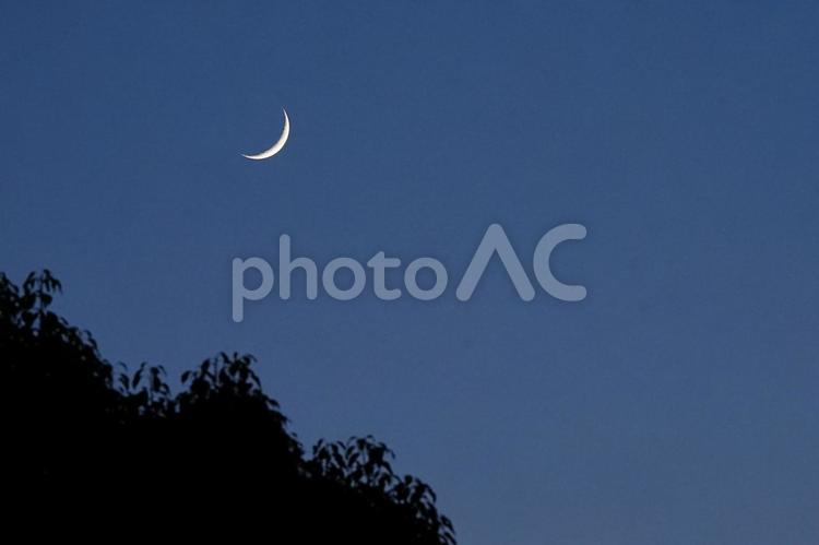 新月から3日目の月 月,空,トワイライトの写真素材