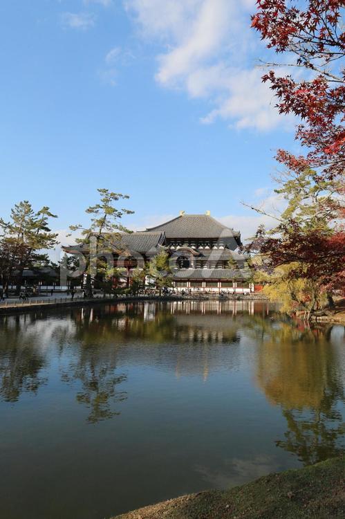 世界遺産　国宝　東大寺 国宝,世界遺産,秋の写真素材