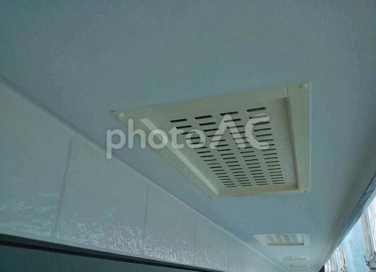 クリーム色に塗装をした換気口 換気口,軒裏,上塗りの写真素材