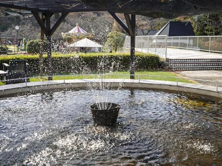陽光にきらめく公園の噴水の水しぶき 噴水,水,池の写真素材