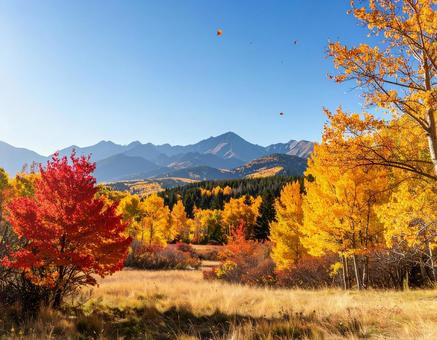 紅葉が広がる秋の自然風景 紅葉が広がる秋の自然風景の写真