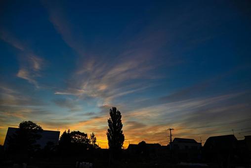 朝焼け 2025/6/9 朝焼け,ポプラ,日の出前の写真素材