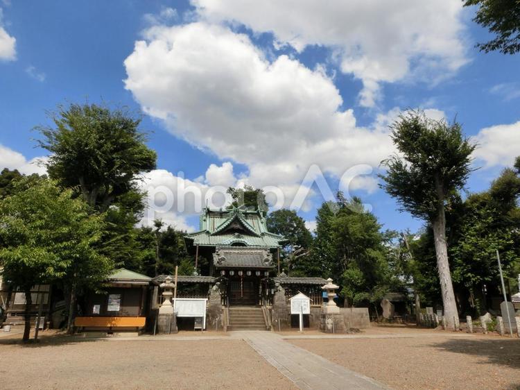 野田愛宕神社-3 野田愛宕神社,千葉県野田市,拝殿の写真素材