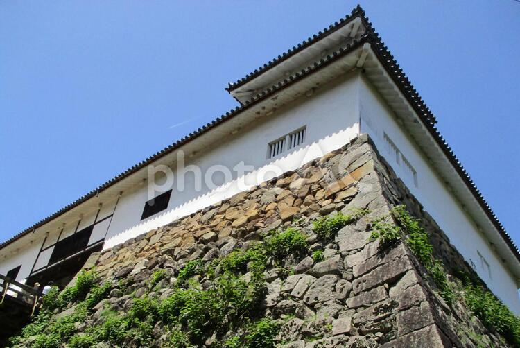 お城の櫓を見上げる 城,櫓,石垣の写真素材