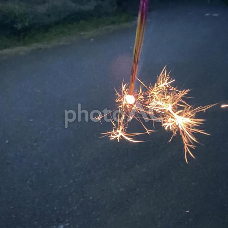 5本束の線香花火 夜景,夜,夏の写真素材