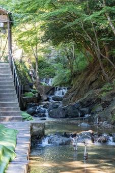京都 貴船神社 貴船川 京都 貴船神社 貴船川 貴船神社,貴船,神社の写真素材