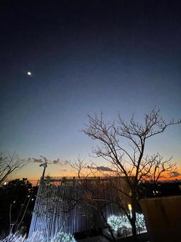 夕暮れの公園の枯れ木と小さな月 夕暮れの公園の枯れ木と小さな月 公園,空,雲の写真素材