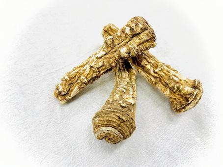 生薬・白芷 壱 生薬・白芷 壱 白芷,ビャクシ,生薬の写真素材