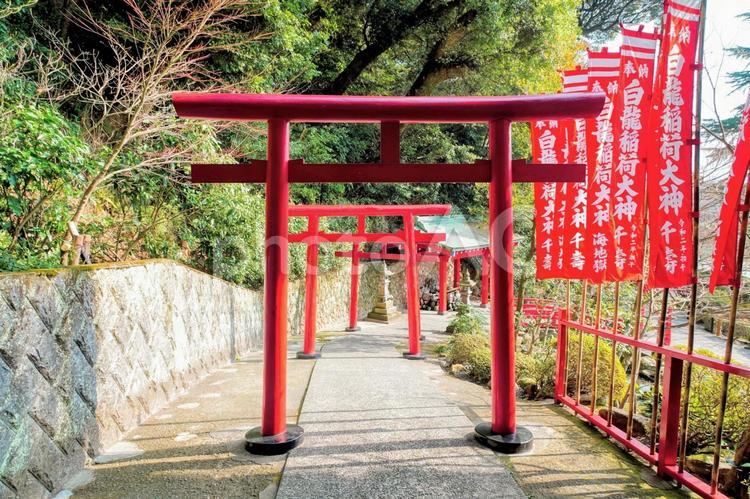 大分別府・国指定名勝海地獄の白龍稲荷大神 温泉,白龍稲荷大神,別府の写真素材