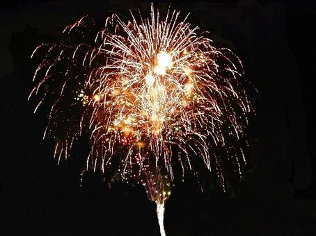 いたばし花火大会2025_15 いたばし花火大会2025_15の写真