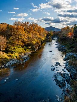 金石水管橋からの荒川 長瀞,紅葉,風景の写真素材