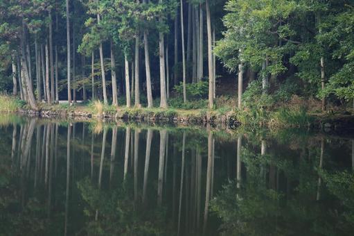 Photo, water mirror, reflection, reflect, 