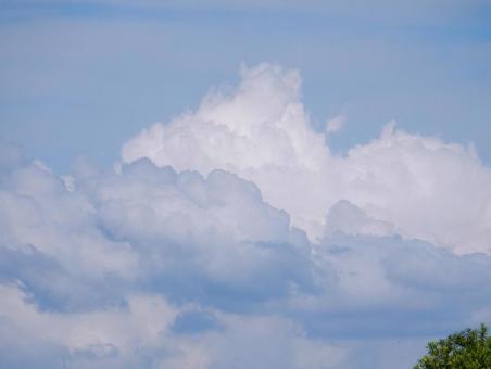 【空の写真】夏空 【空の写真】夏空の写真