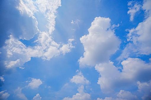 Photo, midsummer, blue sky, white cloud, 