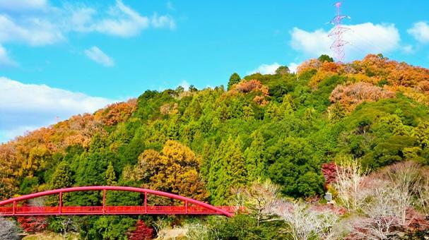大滝渓谷の紅葉風景 山,王滝渓谷,大滝湖かけ橋の写真素材