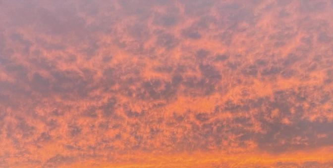 夕焼け 夕焼けの写真