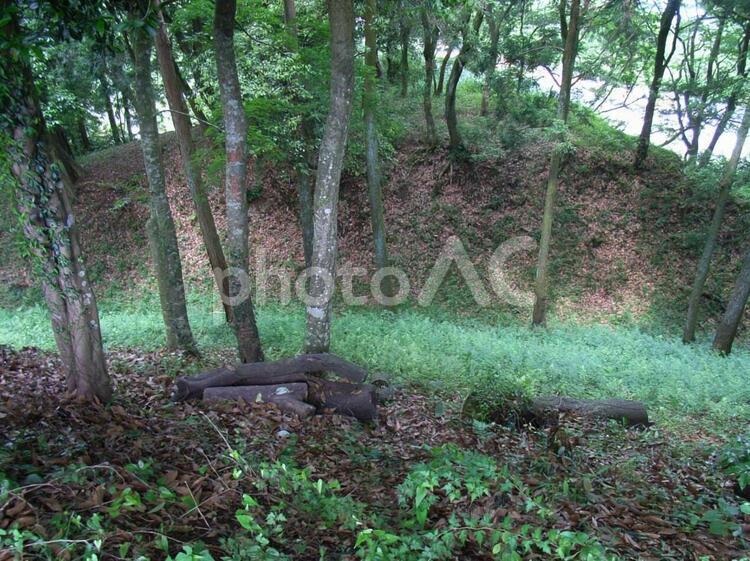 山中城本丸土塁跡 三島,北条氏,山中城の写真素材