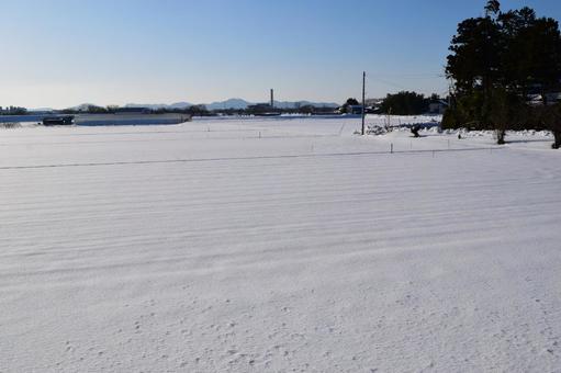 雪国の田園風景 山形県庄内 雪国の田園風景,雪国の水田,雪国の写真素材