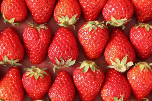 Image material of strawberry (from above red background), JPG Image material of strawberry (from above red background), strawberry, overlooking, from above, JPG