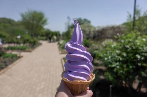 紫色のソフトクリーム 紫色のソフトクリームの写真