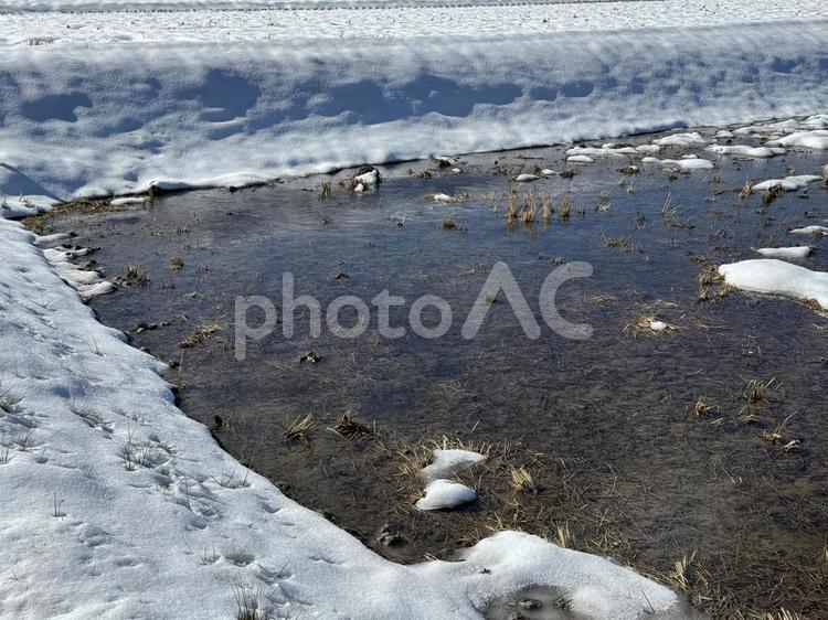 雪解けの田んぼ（信州） 雪解け,雪,水の写真素材